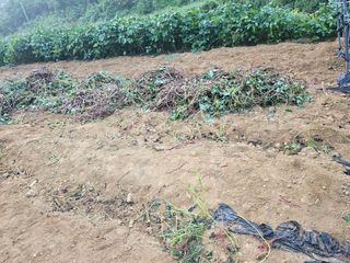 늘항상한결님의 자유주제 · 자유게시판 작성글 사진