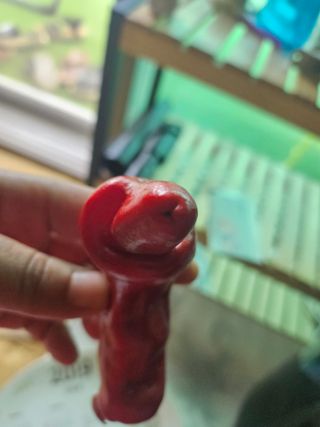 늘항상한결님의 자유주제 · 자유게시판 작성글 사진