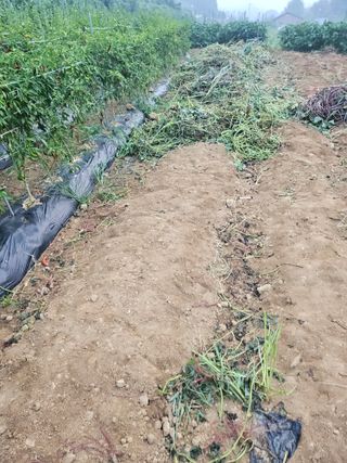 늘항상한결님의 자유주제 · 자유게시판 작성글 사진