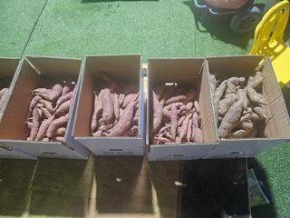 늘항상한결님의 자유주제 · 자유게시판 작성글 사진