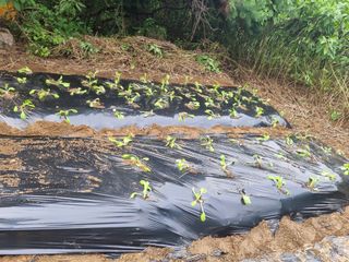 이영호님의 자유주제 · 자유게시판 작성글 사진
