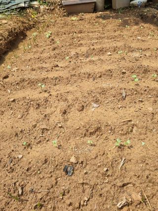 이영호님의 자유주제 · 자유게시판 작성글 사진