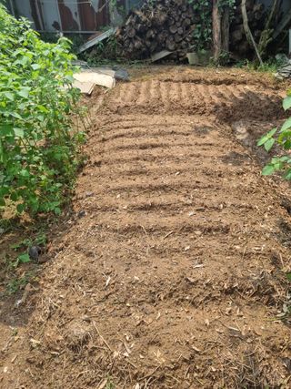 이영호님의 자유주제 · 자유게시판 작성글 사진