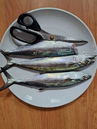 조명희님의 자유주제 · 자유게시판 작성글 사진