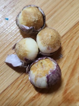 갑돌이님의 자유주제 · 자유게시판 작성글 사진