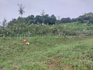 시골살이님의 자유주제 · 자유게시판 작성글 사진