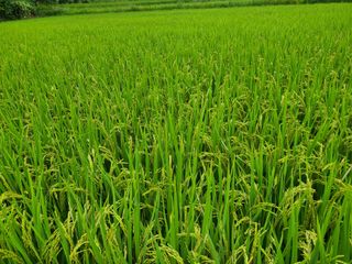 (천지산)님의 자유주제 · 자유게시판 작성글 사진