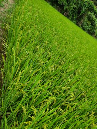 (천지산)님의 자유주제 · 자유게시판 작성글 사진