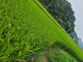 (천지산)님의 자유주제 · 자유게시판 작성글 사진