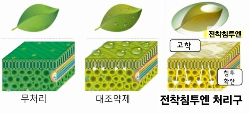 한농농약종묘사님의 장터 판매 상품 [[전착제+침투제] 대유전착침투엔 500ml] 첨부 사진