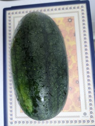 김영옥님의 기타작물 · 영농일지 작성글 사진