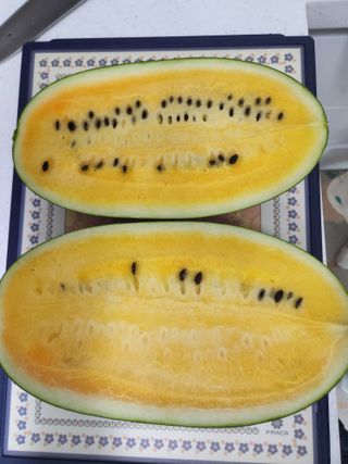 김영옥님의 기타작물 · 영농일지 작성글 사진