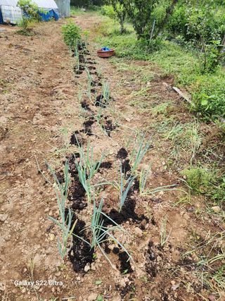 정석구님의 자유주제 · 자유게시판 작성글 사진