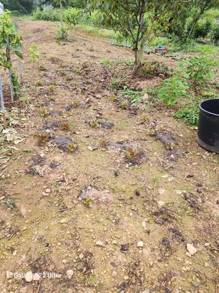 정석구님의 자유주제 · 자유게시판 작성글 사진