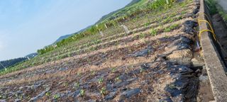 박순덕님의 자유주제 · 자유게시판 작성글 사진