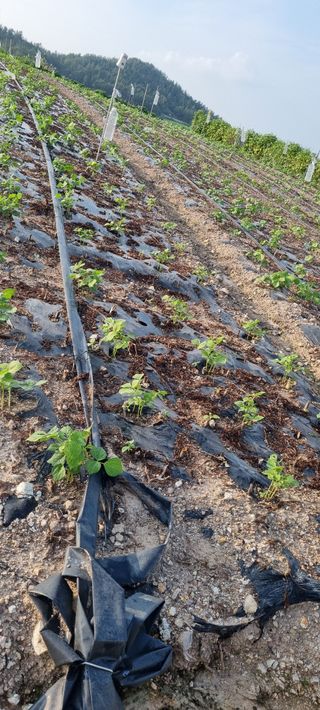 박순덕님의 자유주제 · 자유게시판 작성글 사진