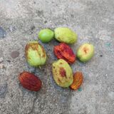 팜모닝 자유주제·자유게시판 게시글 이미지