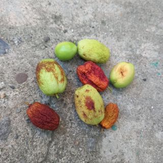 박철용 님의 자유주제 · 자유게시판 작성글 사진