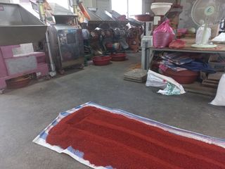 한태훈님의 고추 · 영농일지 작성글 사진