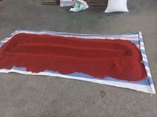 한태훈님의 고추 · 영농일지 작성글 사진