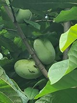 팜모닝 자유주제·사진전 게시글 이미지