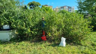 김재혁님의 기타작물 · 영농일지 작성글 사진