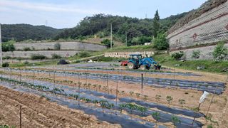 사막골님의 자유주제 · 자유게시판 작성글 사진
