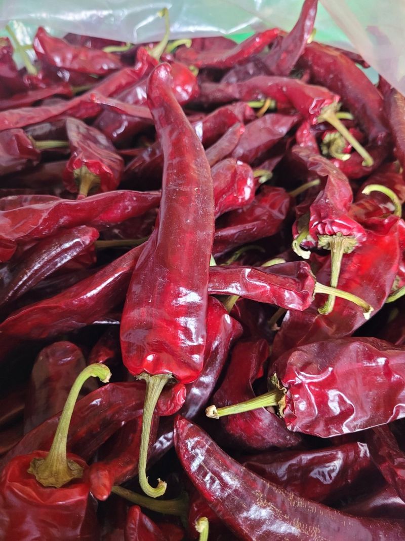 사과청일농원🍎님의 장터 판매 상품 [27년도 최상급 건고추 고추가루(매콤)] 첨부 사진