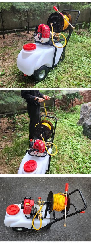 유니즈님의 작성글 사진