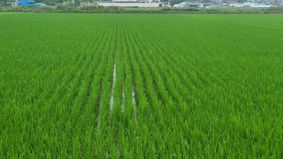 배추18024님의 나의 농사 애장품을 자랑해요 · 참여글 작성글 사진