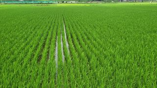 배추18024님의 나의 농사 애장품을 자랑해요 · 참여글 작성글 사진