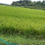 팜모닝 나의 농사 애장품을 자랑해요·참여글 게시글 이미지