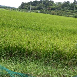 민희민희님의 나의 농사 애장품을 자랑해요 · 참여글 작성글 사진