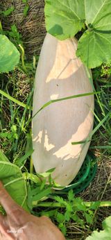 팜모닝 자유주제·자유게시판 게시글 이미지