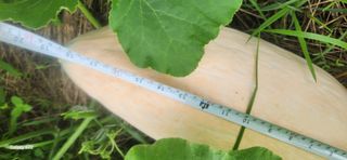 접시꽃님의 자유주제 · 자유게시판 작성글 사진