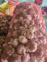 팜모닝 나의 농사 애장품을 자랑해요·참여글 게시글 이미지