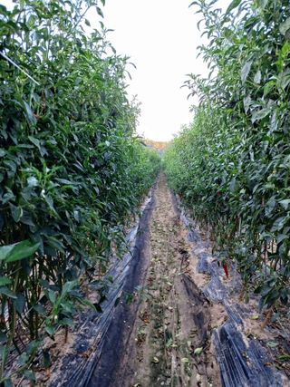 이창우님의 자유주제 · 자유게시판 작성글 사진