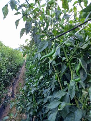 이창우님의 자유주제 · 자유게시판 작성글 사진