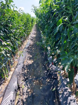 정완규님의 자유주제 · 자유게시판 작성글 사진