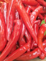 팜모닝 나의 농사 애장품을 자랑해요·참여글 게시글 이미지