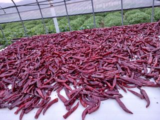 전국하님의 자유주제 · 자유게시판 작성글 사진