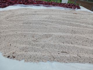 전국하님의 자유주제 · 자유게시판 작성글 사진