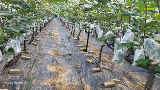 대부도잘푸리님의 자유주제 · 자유게시판 작성글 사진