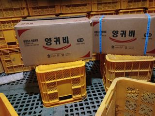 알 수 없음님의 자유주제 · 자유게시판 작성글 사진