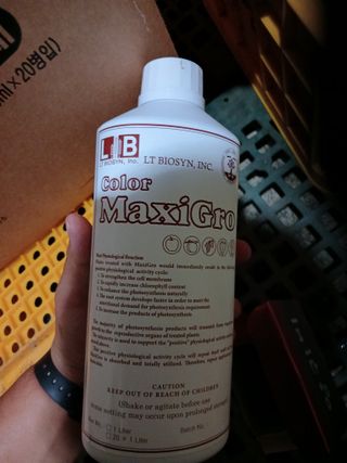 알 수 없음님의 자유주제 · 자유게시판 작성글 사진