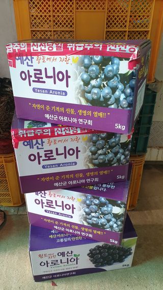 농부아내님의 자유주제 · 자유게시판 작성글 사진