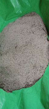 팜모닝 자유주제·자유게시판 게시글 이미지