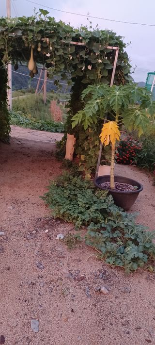 고풍마님님의 자유주제 · 자유게시판 작성글 사진