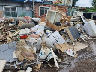 광주독수리님의 팜모닝 · 출석 작성글 사진