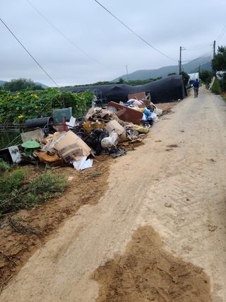 광주독수리님의 팜모닝 · 출석 작성글 사진